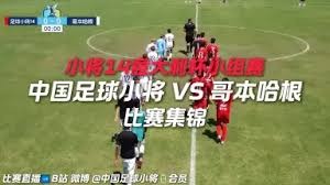 极端气温对2026世界杯的影响与应对策略
